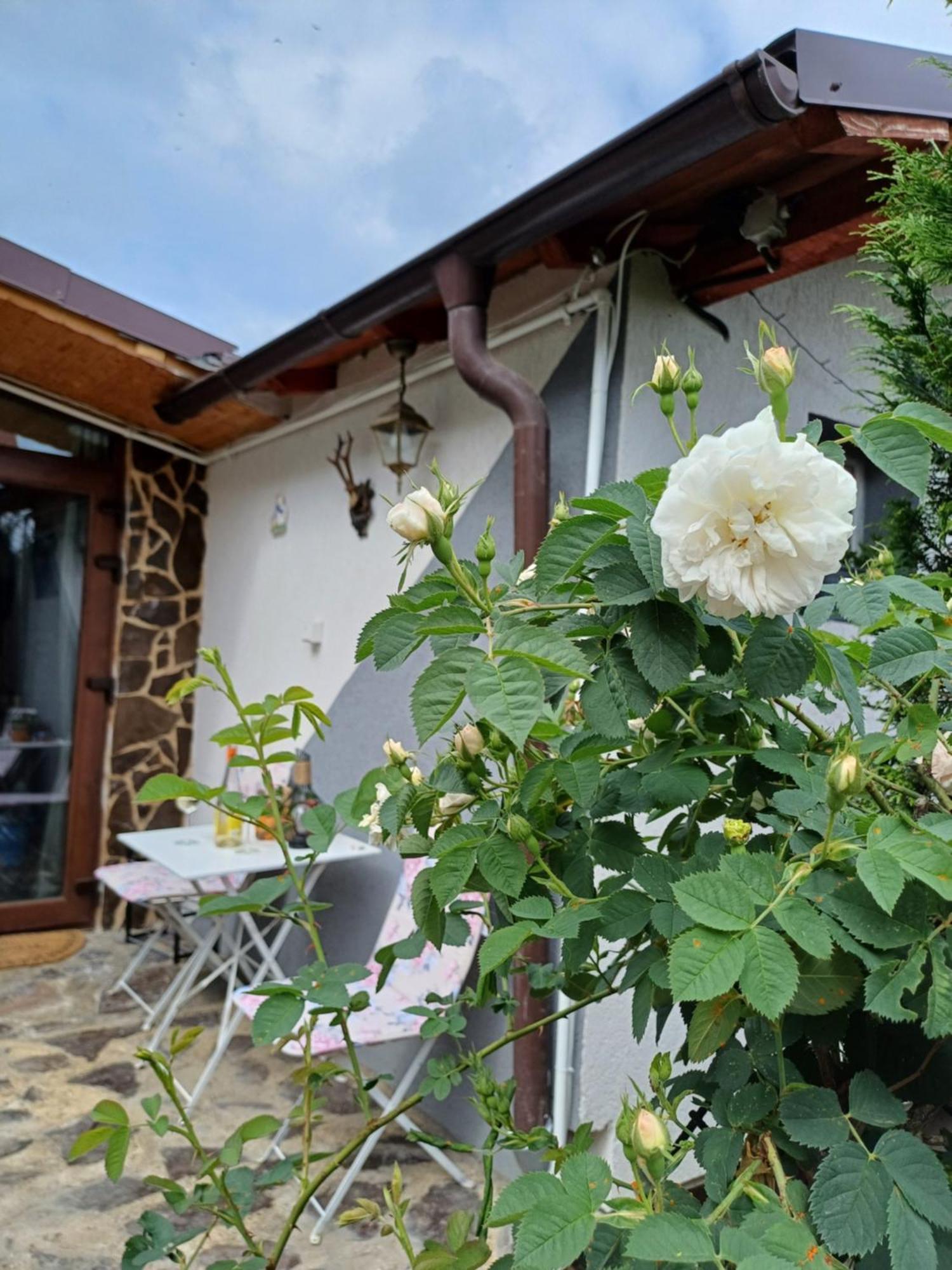 Cazare La Luiza B Sura Mare Extérieur photo