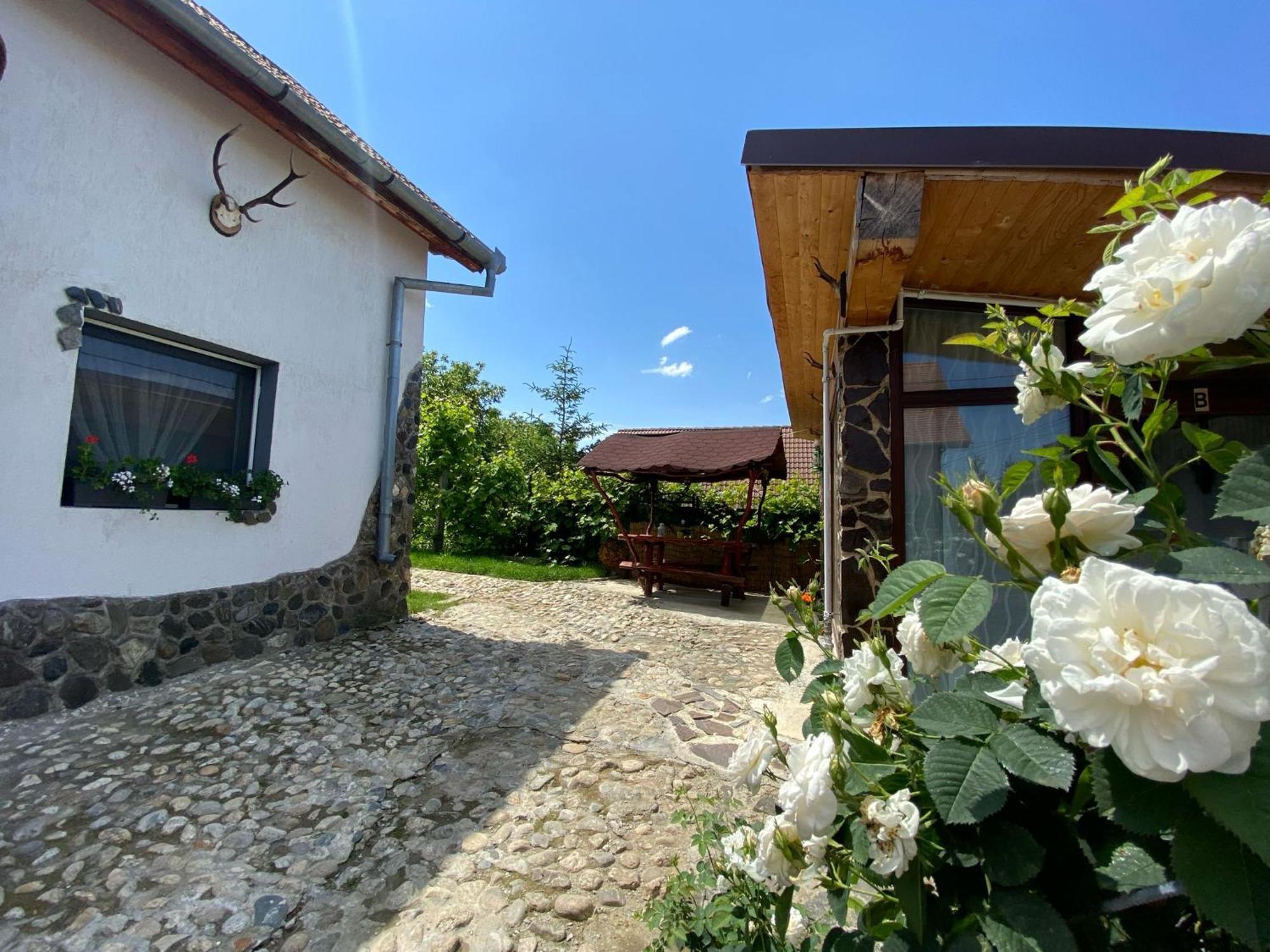 Cazare La Luiza B Sura Mare Extérieur photo
