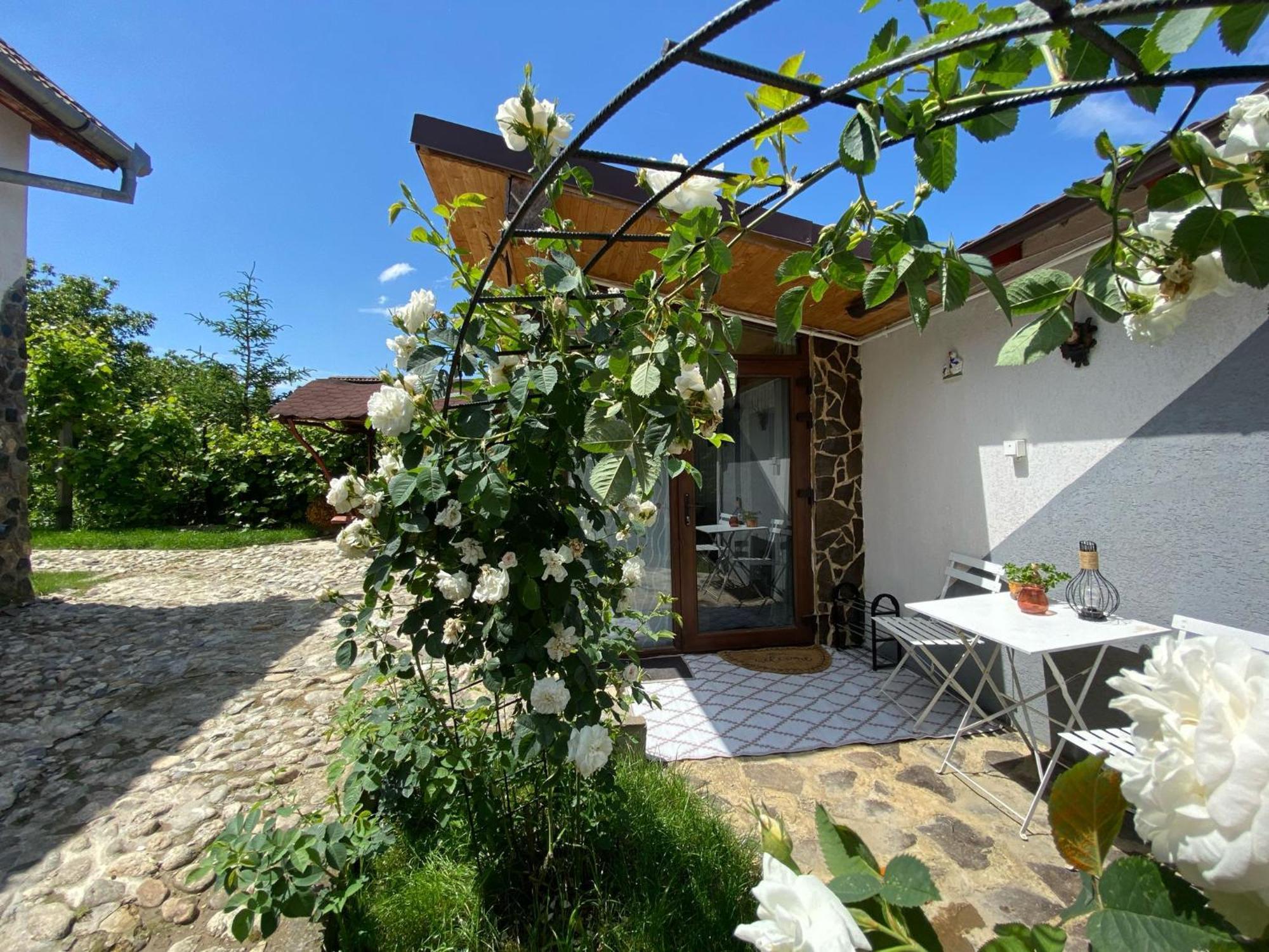 Cazare La Luiza B Sura Mare Extérieur photo